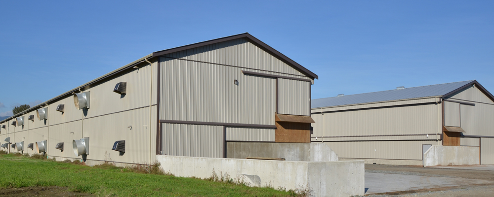 Electrical Audio & Visual Work